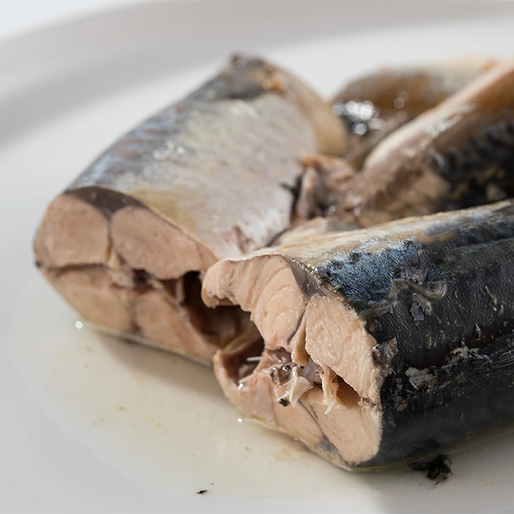 Best Price Easy Open Canned Mackerel Fish Food