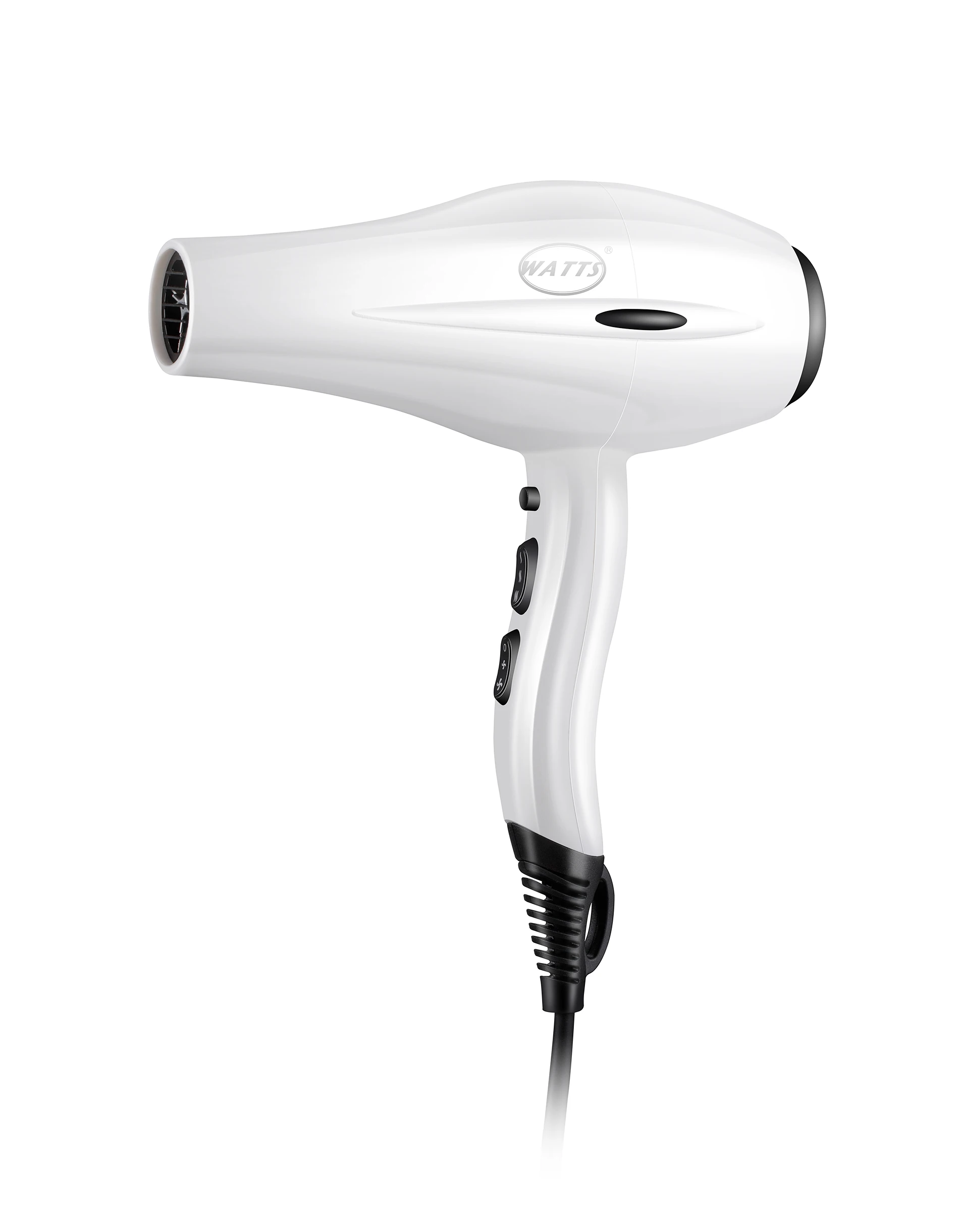 Professional Promotion plastic AC motor hair dryer for Salon use or household use high air speed for quick drying