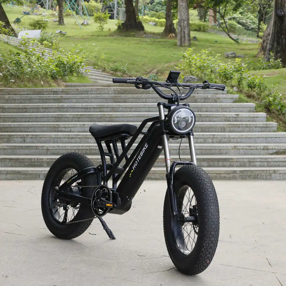 factory Outlet baycle bicycle electric city bike 500w e bikes electric mountain bike motorcycle750w  fat