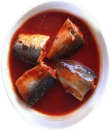 Factory  price canned fish healthy foods canned Mackerel in Tomato Sacue