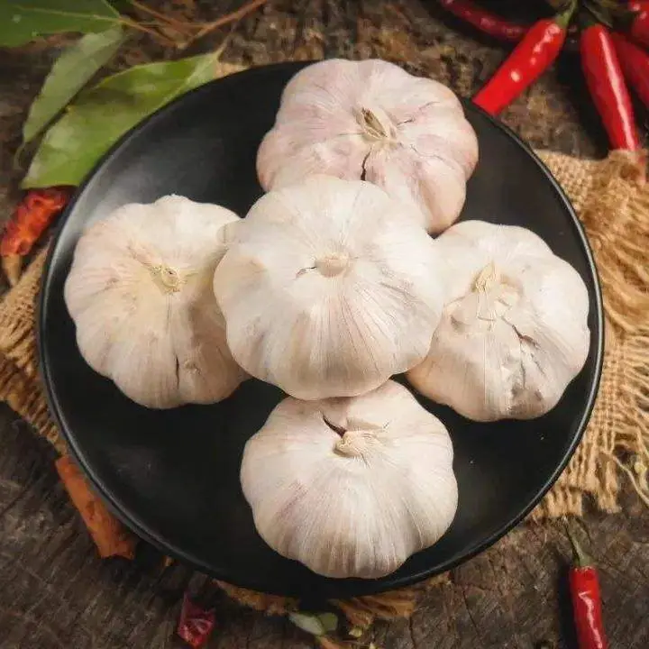 Свежий чеснок из Китая для продажи