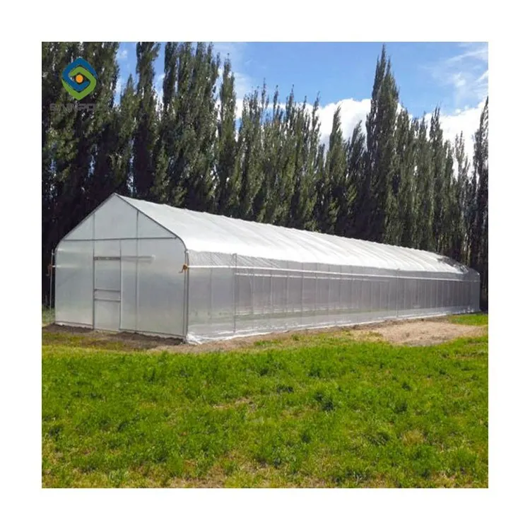 Professional High quality smart agricultural greenhouse farm for sale