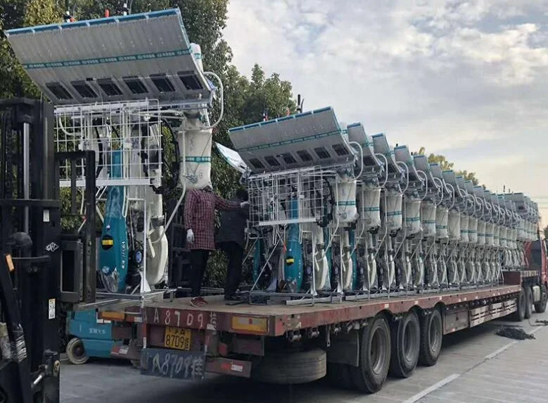 6 Rows Handpush Rice Planter Walk Behind Rice Planting Machine Walking Paddy Transplanter