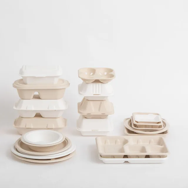 
Eco Friendly 100% Biodegradable Plate/Tray/Bowl/Clamshell container Disposable tableware 