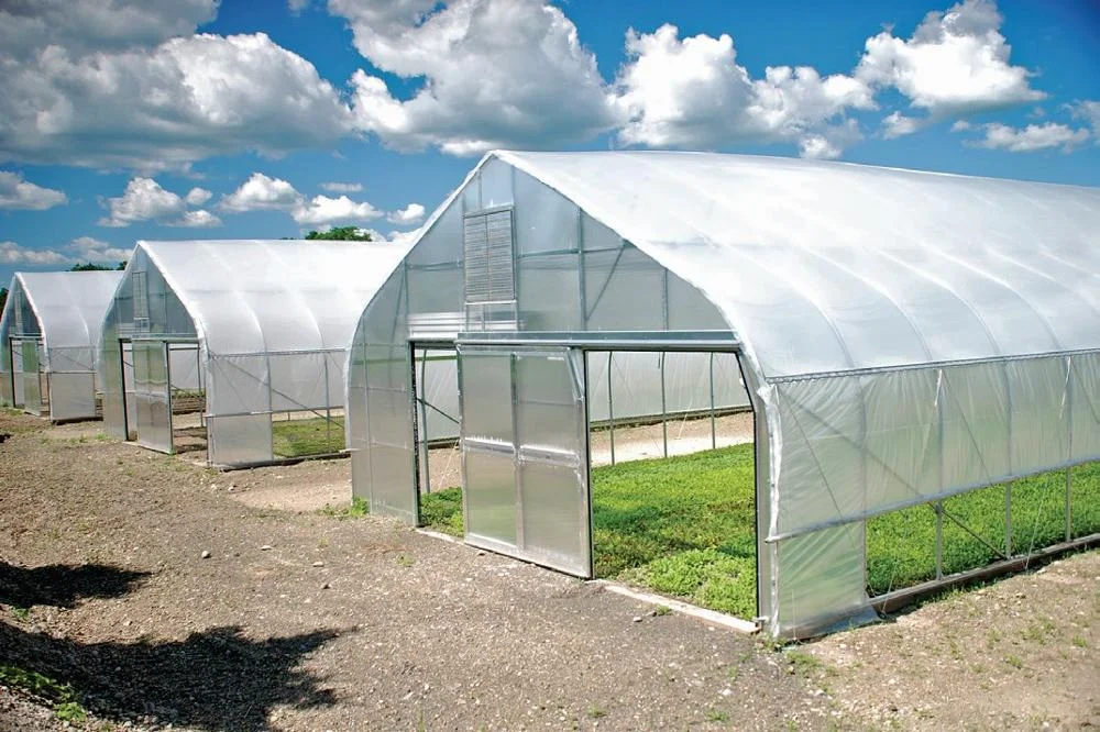 200 micron plastic greenhouse covering film tunnel greenhouse single  span greenhouse
