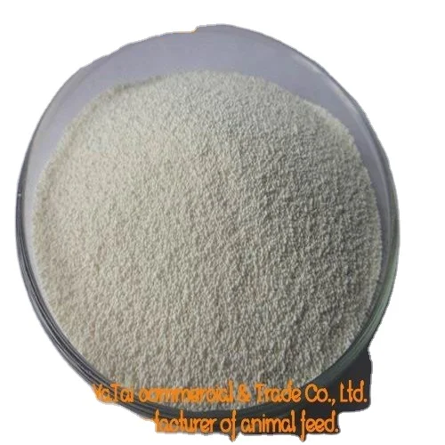 Экспорт новой продукции alicin и высокоэффективный корм для животных