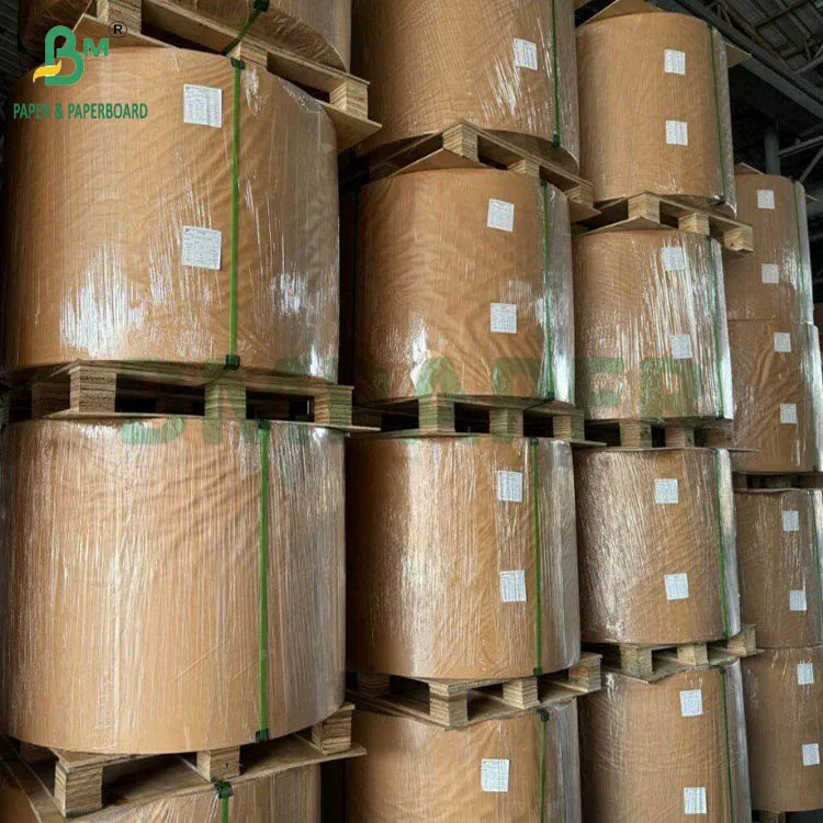 130g 300g Natural Sugarcane Bagasse Pulp Paper For Food Plates Rolls biodegradable Paperboard