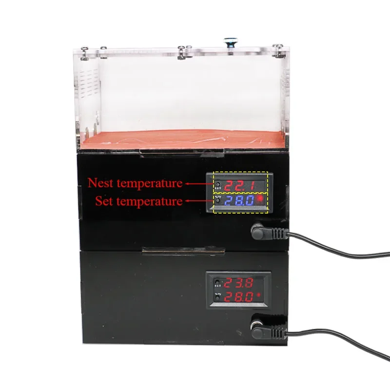 Ant Farm Set With Ants Drinker Temperature Control Concrete Ant Nest Infinite Expansion Insect House Anthill Kit Accessories