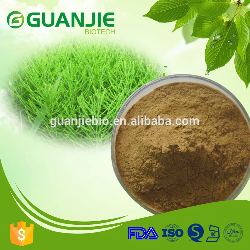 
wholesale pure natural horsetail extract powder 