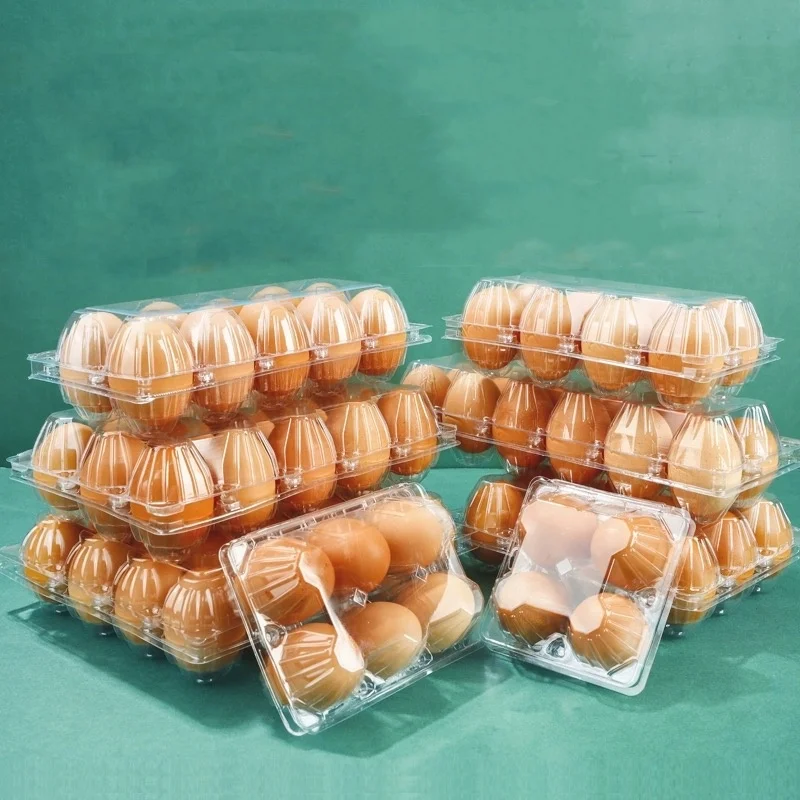 2-10 Holes Eco-friendly Plastic Egg Tray Clear PET Plastic Egg holder for Storage Clamshell Style Accept Custom