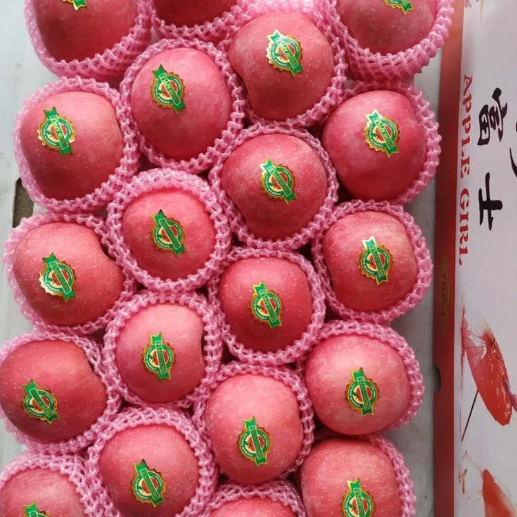
 Китайские яблоки fuji красные Хрустящие красные свежие яблоки fuji  