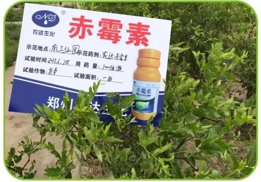Gibberellic acid GA3 90%TC CAS NO.77-06-5 Plant growth regulator  Seed Germination And Fruit Set