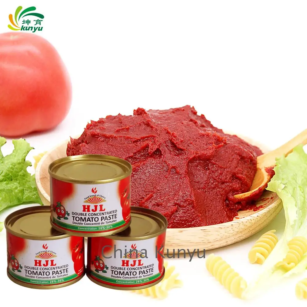 Kunyu Canned food tomato paste price cheap tin tomato sauce in drum easy open from factory  70g 210g 400g 2200g