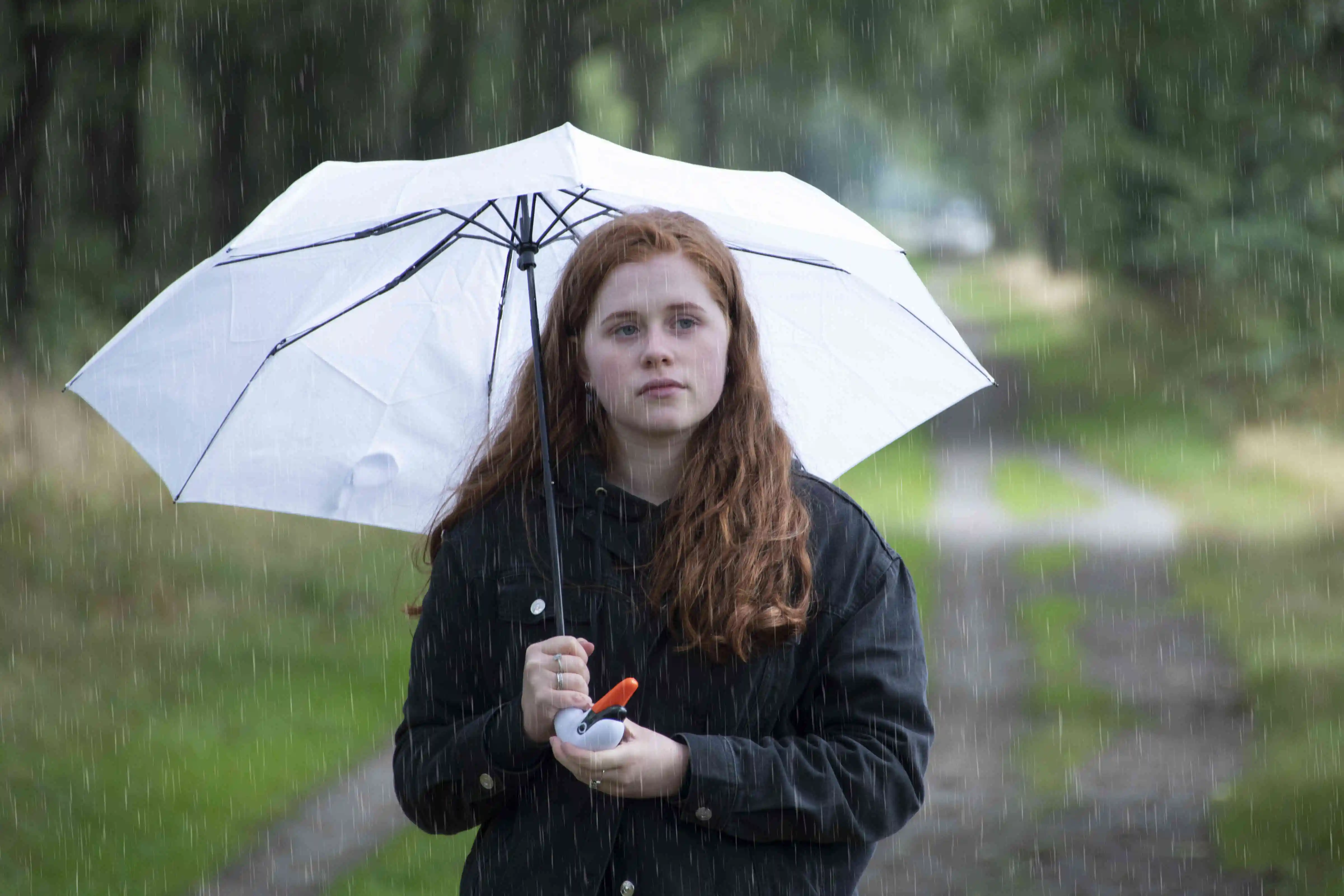 TP301 Esschert Design 30%off 21Inch 8K Fashion Custom Design Umbrellas Swan Handle Umbrella Foldable