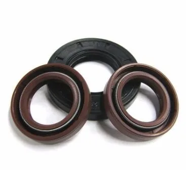 Hot Sale Variseal PTFE Spring Booster Oil Double Lip Seal