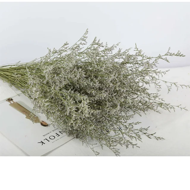 Caspia Preserved Flowers Limonium Stems Dried Flowers Craft Supplies Floral Home Wedding Decor Florals for Vase DIY Flowers