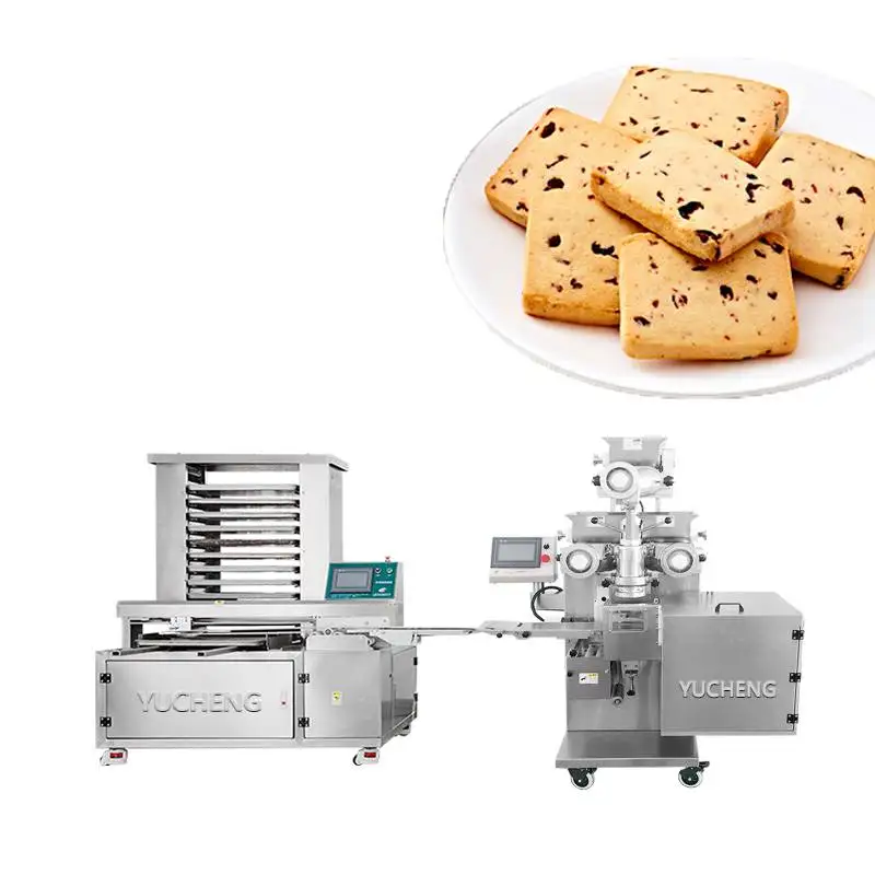 Ice Box Cookies Encrusting Machine Provided 2080 1 Set Fast Food Restaurant Equipment Kibbeh Making Machine for Restaurant 33KW