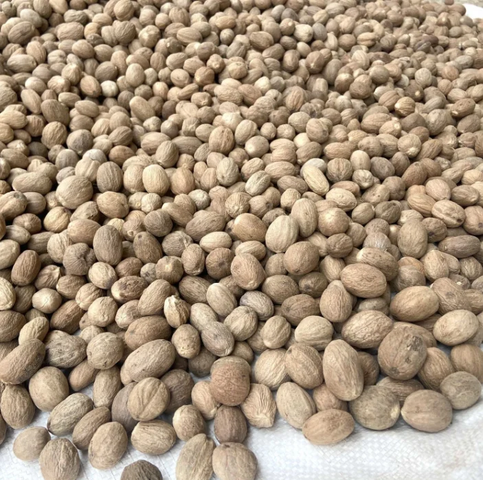Hot Selling Cardamom All Natural Shellless Nutmeg Bulk Spice Cardamom