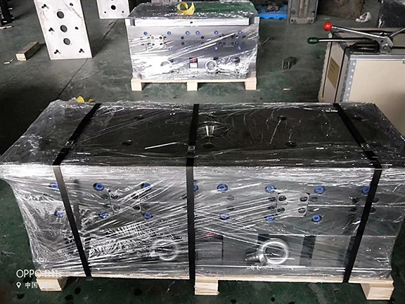 Plastic Nylon PA66 cable Tie Injection Mold