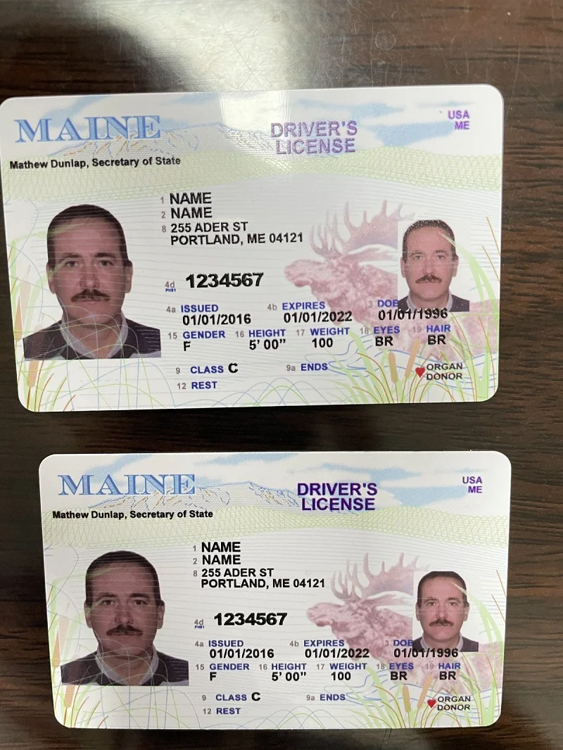 Small Business UV Printer Inkjet A4 UV Flatbed Printer For Printing on Wood Acrylic Glass Metal