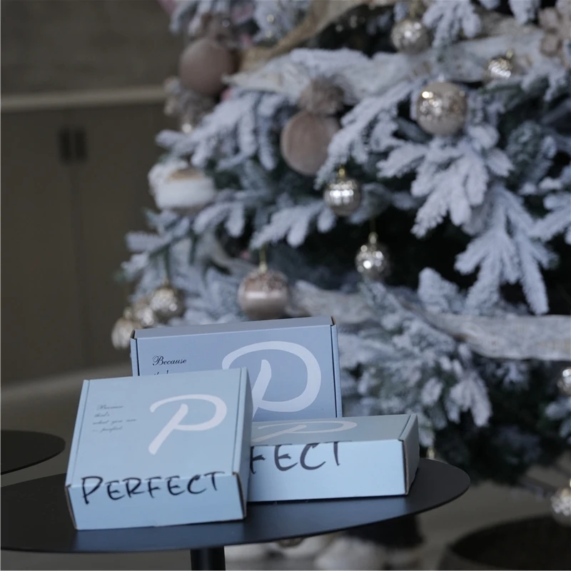 kraft paper paper boxes biodegradable wholesale custom logo luxury paper cardboard box digital Printing aircraft gift box