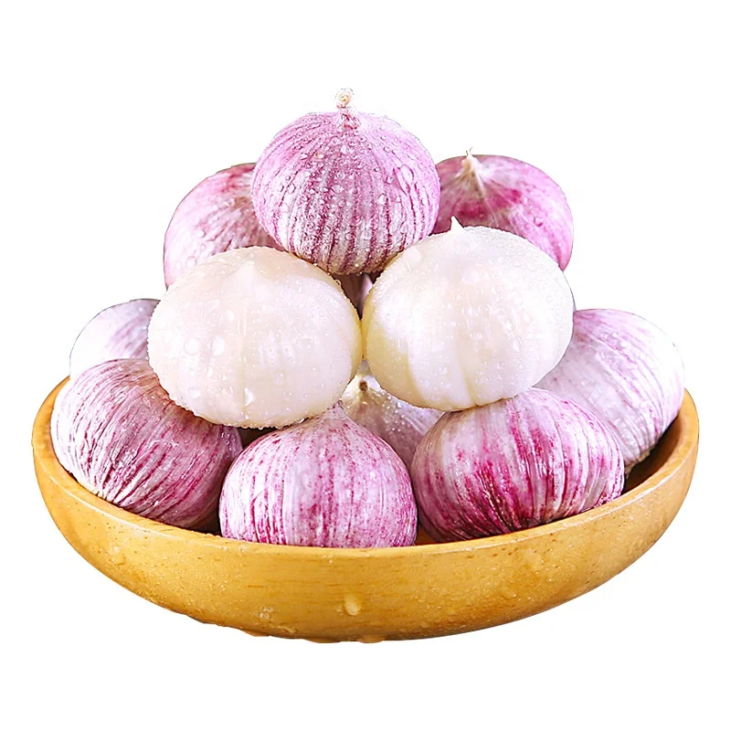 100% Natural Ripe Single Head Garlic Wholesale Price Now Digging Fresh Purple Garlic Wet and Dry Farm Vegetables