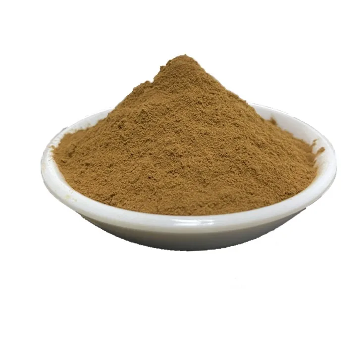 Hot Sale Natural Herbal Nopal Extract Powder of Good Quality Cactus Polysaccharide Cactus Extract with Fine Price