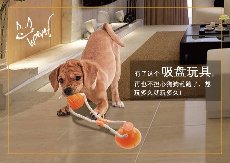 Amazon hot selling  teeth clean molar bite suction cup dog chew toy ball