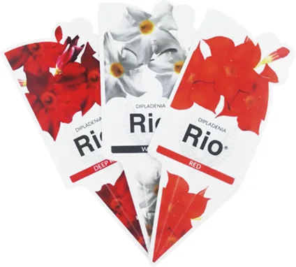 Custom made PP material waterproof plant name tag label