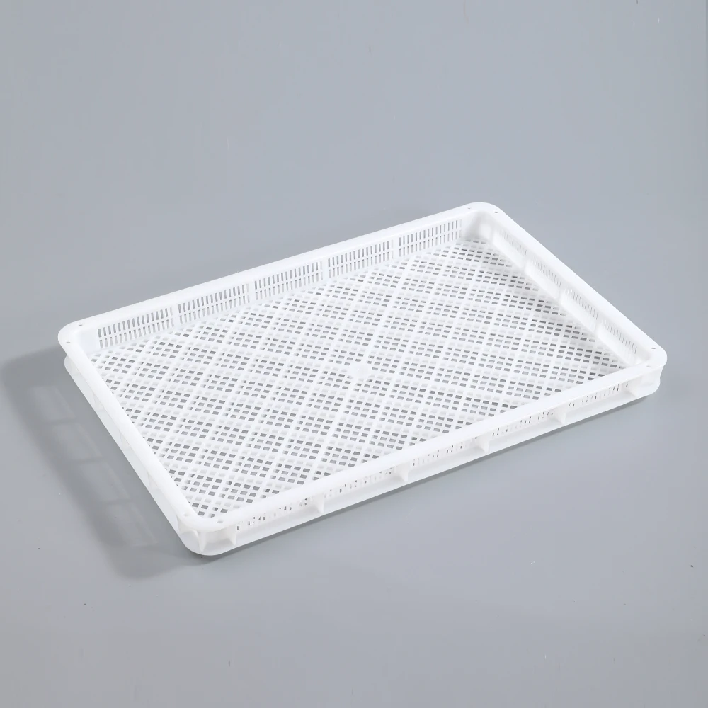 Hot sale PP/PE material frozen tray ventilated stackable plastic drying tray for mushroom