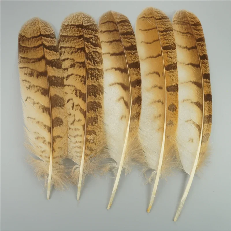 10Pcs/Bag Natural Eagle Feathers for Crafts Plume Headdress Accessories Holiday Decoration Carnival Feather DIY Handicraft Decor