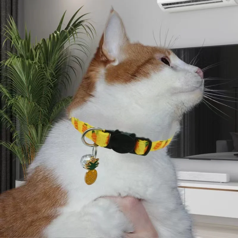 Hot cat collar bell fruit pendant cat collar anti-choking buckle pet collar