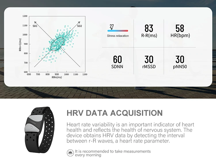 BLE ANT+ Heart Rate Monitor Armband Rechargeable Waterproof Armband Heart Rate Monitor