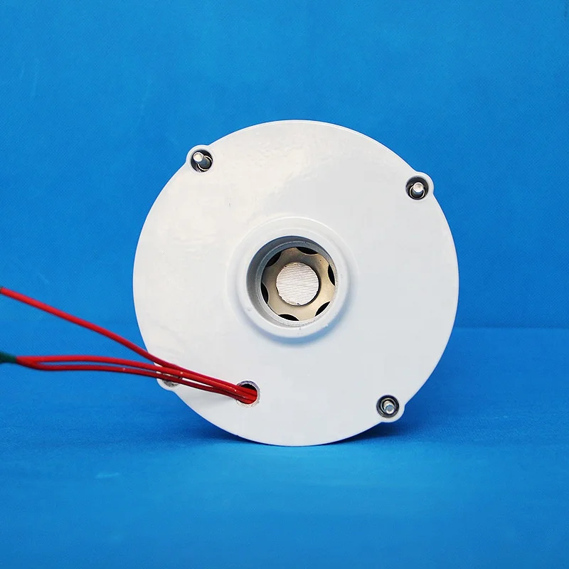 Hot sale Phase gearless permanent AC alternators wind water turbine 200W 12V 800rated speed wind water turbine generator small