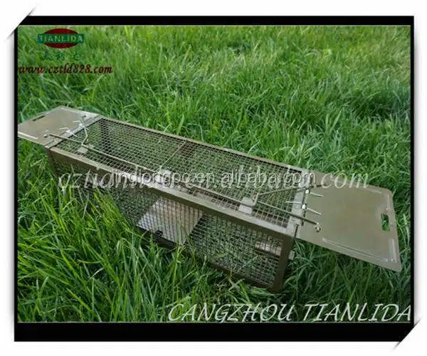 Reusable Humane Mouse Trap Metal Rat Cage For Catch And Release Solid Mouse Repeller And Rat Trap For Mice And Birds