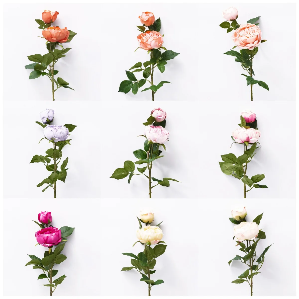 2022 Hight quality artificial champagne rose for wedding decor or  wall decor