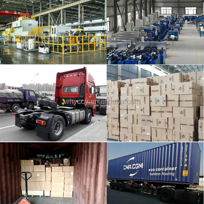 company information.jpg