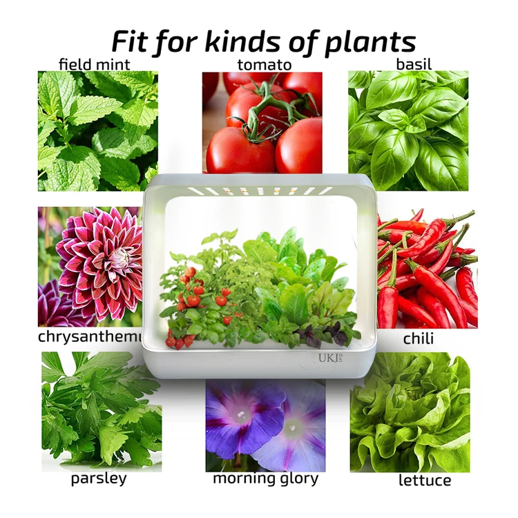 Home Desk Garden Hydroponic Growing Systems Portable Smart Garden Indoor Minimalist ABS Smart Kitchen Smart Products for Kitchen