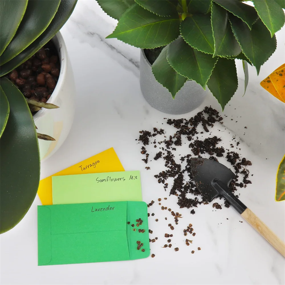 #1 Paper Coin Envelopes 2.25x3.5 inch Mini Envelopes for Coins Stamps Seed Envelopes for Make Seed Packets