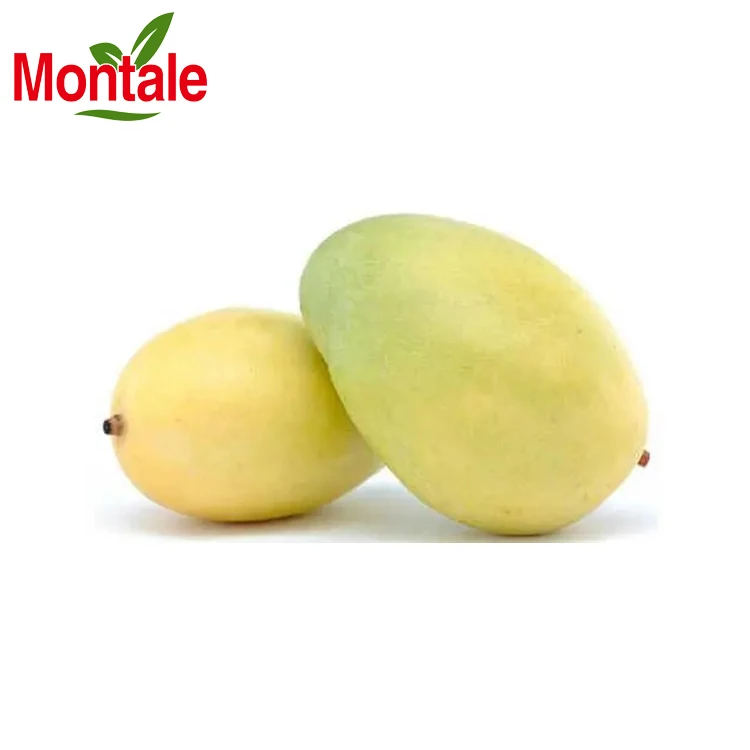 Good Price Fresh Fruit Mango high quality mango