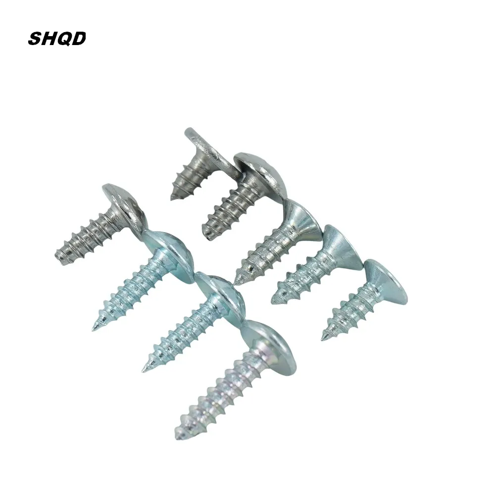 SHQD High Quality Anti Rusty Anodizing Screw With Nut Screw Foundation Metal Roofing Screws