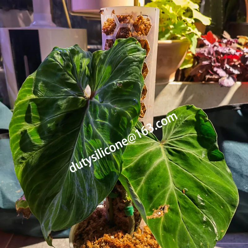 DIY Modular Plastic moss Pole stick for Monstera Plant Poles Climbing Plants Support Indoor Plants Sphagnum Moss Pole set