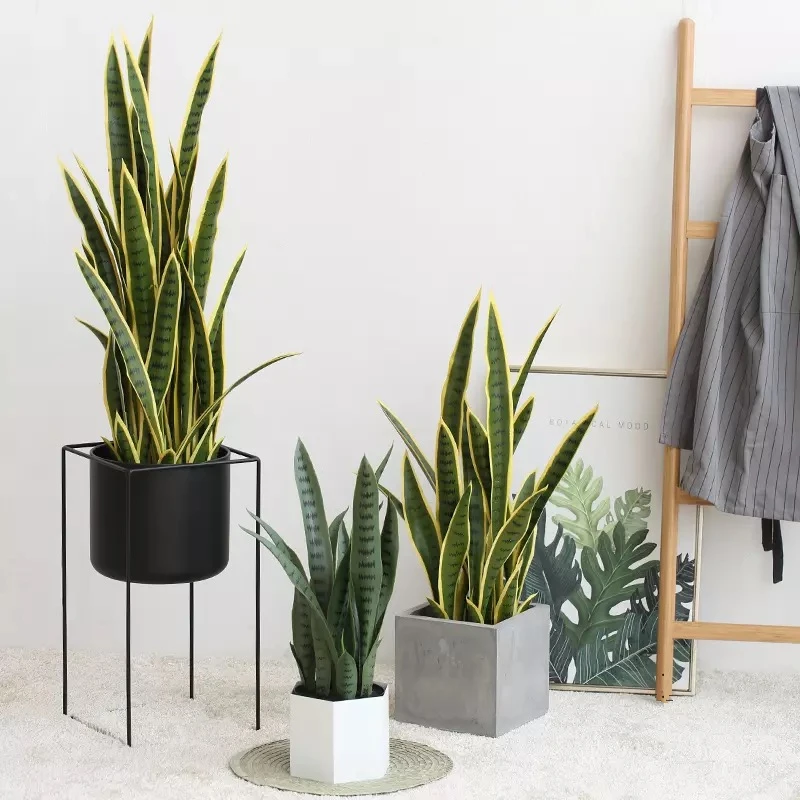 Небольшие пластиковые агавы бонсай растения с горшком Sansevieria Cylindrica