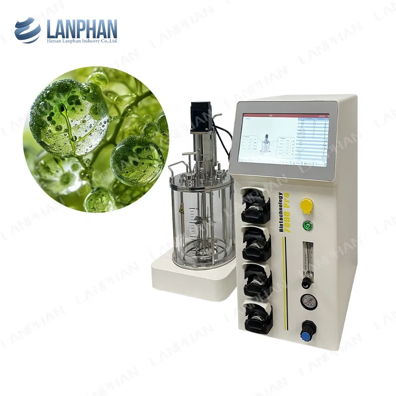 Lab Fermentation Algae Fungus Yeast Bioreactors Glass Bioreactor Microbiology