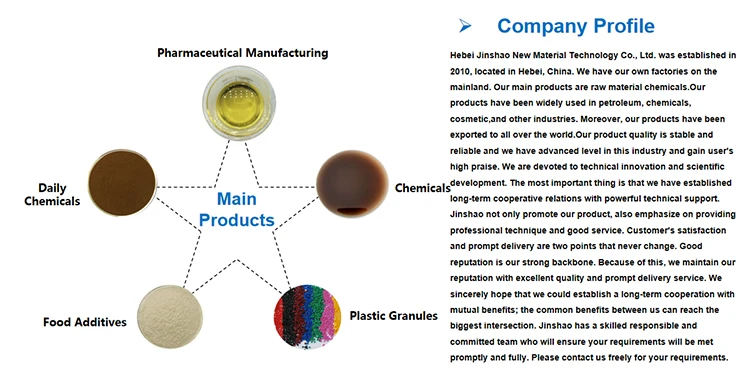 company profile2