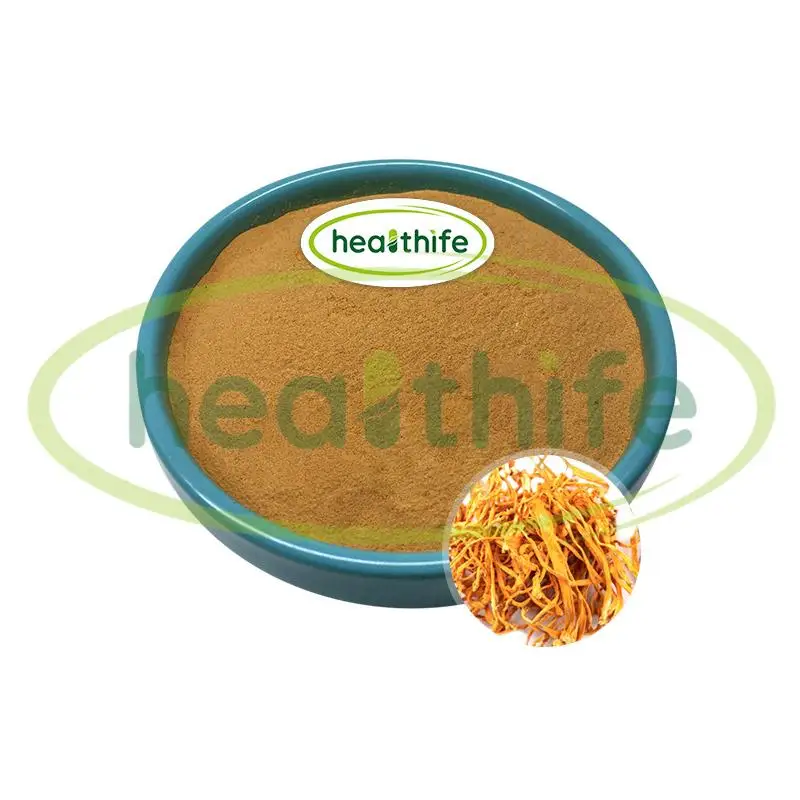 FocusHerb полисахариды 50% Cordyceps Sinensis порошок