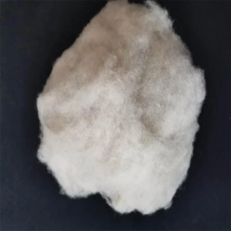 
Scoured dehaired wool sheep wool cashmere 