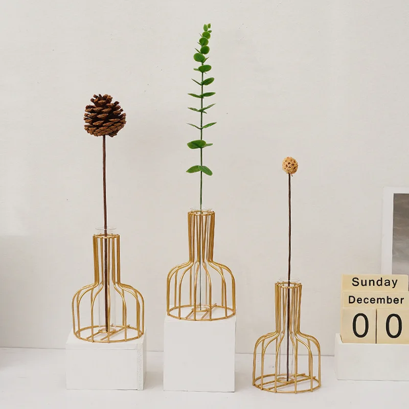 Nordic Ins Iron Golden Hydroponic Vase Home Wedding Decoration Accessories Living Room Dining Table Decor Dry Flowers