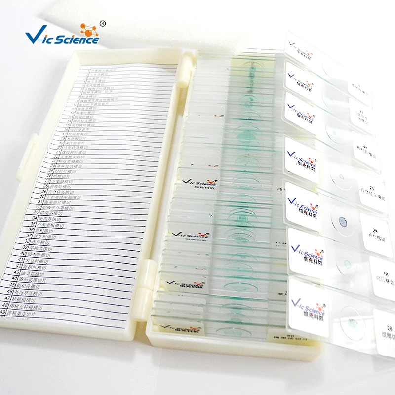 Botany Pathology research Microscope Prepared Slides Disease of Solanaceae vegetable for crop Teaching use