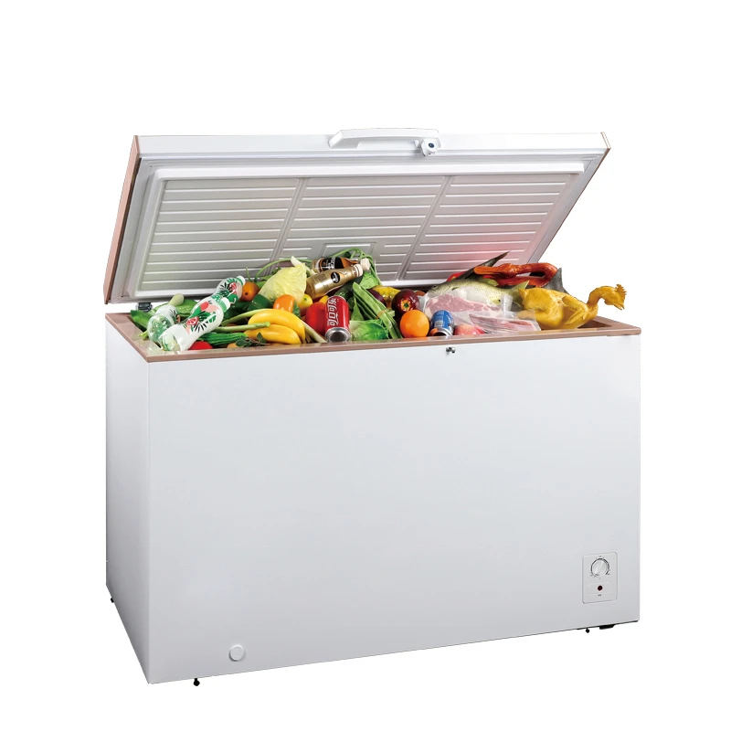 Commercial Chest Freezer Top Open DoorBD-400